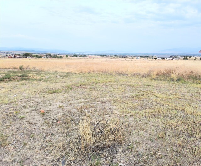 view of local wilderness with a rural view