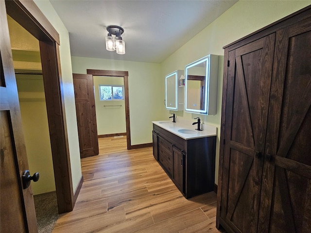 bathroom featuring wood-type flooring and vanity