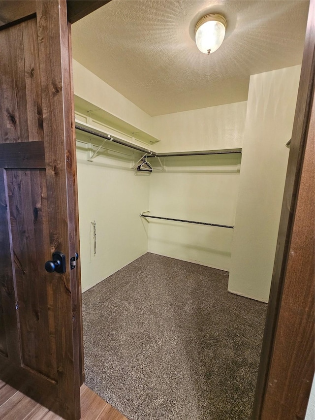 walk in closet with hardwood / wood-style floors