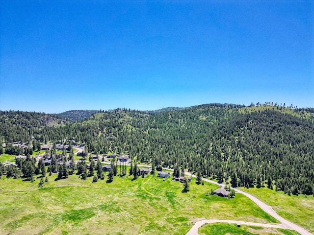 159 Bison Circle Dr, Kalispell, MT 59901