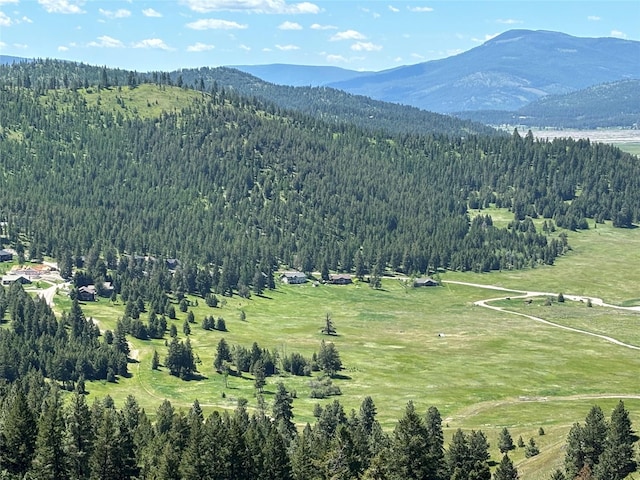 159 Bison Circle Dr, Kalispell, MT 59901