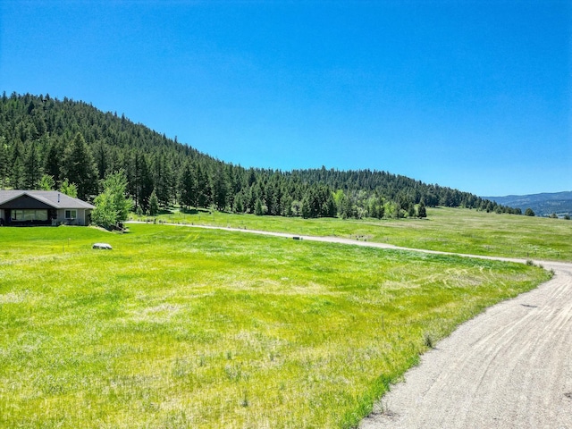 159 Bison Circle Dr, Kalispell, MT 59901