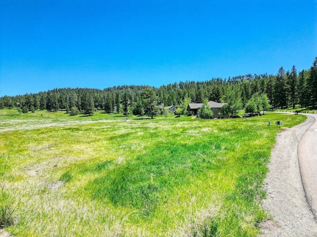 159 Bison Circle Dr, Kalispell, MT 59901