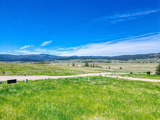 159 Bison Circle Dr, Kalispell, MT 59901