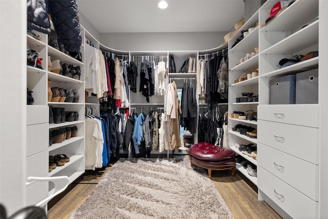 spacious closet featuring wood-type flooring