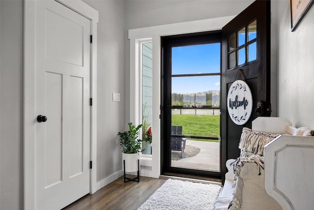 entrance foyer featuring dark hardwood / wood-style flooring