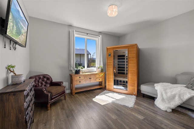 sitting room featuring dark hardwood / wood-style floors