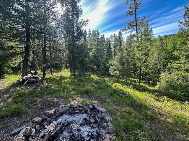 NHN W Ashby Creek Rd, Potomac, MT 59823 - view of wooded area
