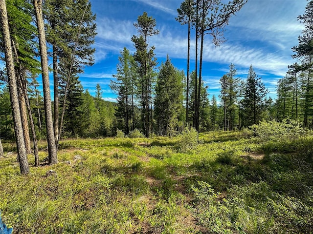 NHN W Ashby Creek Rd, Potomac, MT 59823 - view of tree filled area