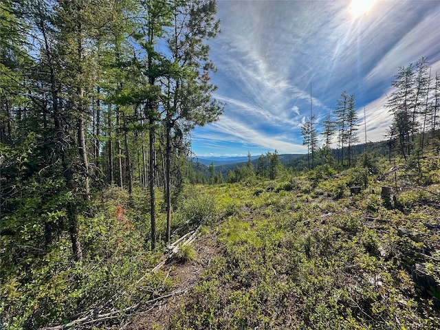 NHN W Ashby Creek Rd, Potomac, MT 59823 - mountain view