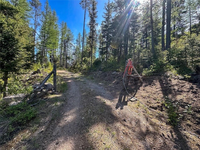 NHN W Ashby Creek Rd, Potomac, MT 59823 - view of dirt / gravel road