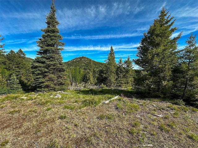 NHN W Ashby Creek Rd, Potomac, MT 59823 - mountain view featuring a forest
