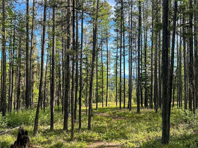 view of local wilderness with a view of trees