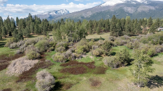 127 Blodgett Camp Rd, Hamilton, MT 59840