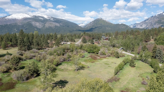 127 Blodgett Camp Rd, Hamilton, MT 59840