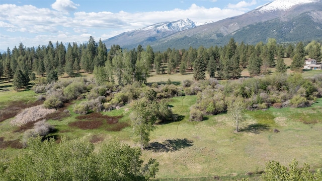 127 Blodgett Camp Rd, Hamilton, MT 59840