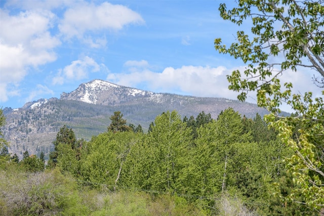 127 Blodgett Camp Rd, Hamilton, MT 59840