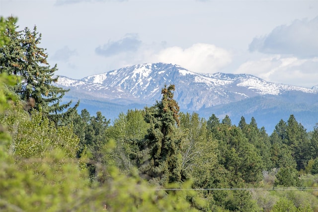 127 Blodgett Camp Rd, Hamilton, MT 59840