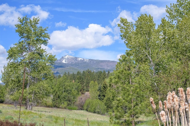 127 Blodgett Camp Rd, Hamilton, MT 59840
