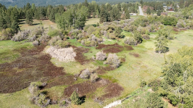 127 Blodgett Camp Rd, Hamilton, MT 59840