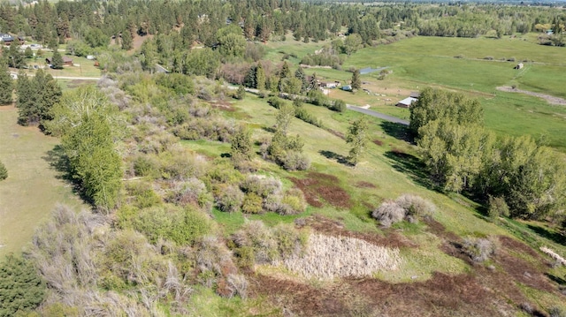 127 Blodgett Camp Rd, Hamilton, MT 59840