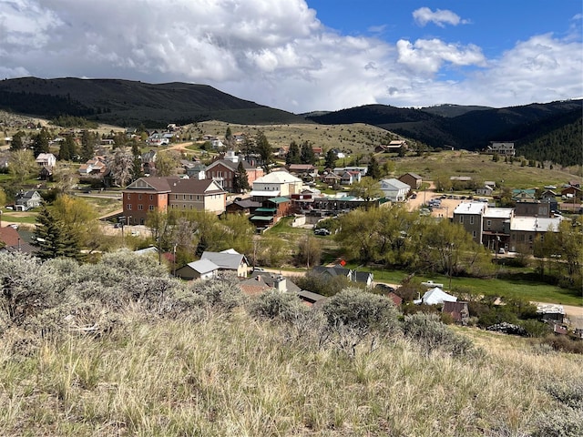 TBD Douglas St, Virginia City MT, 59755 land for sale