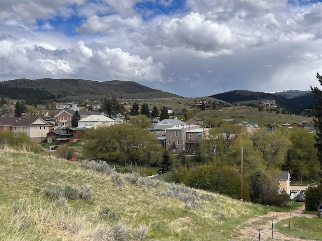 Listing photo 2 for TBD Douglas St, Virginia City MT 59755