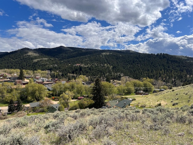 Listing photo 3 for TBD Douglas St, Virginia City MT 59755