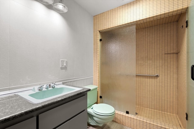 bathroom with toilet, a stall shower, and vanity