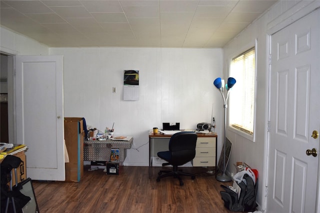 office area featuring dark hardwood / wood-style flooring