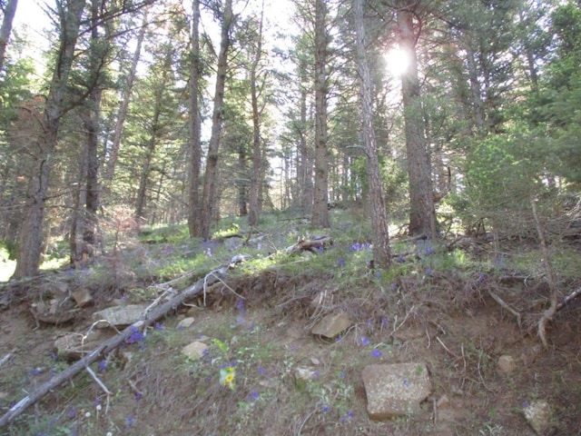 846 Upper Andy Creek Ln, Cascade, MT 59421