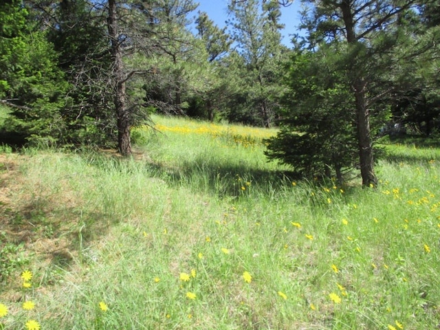 846 Upper Andy Creek Ln, Cascade, MT 59421