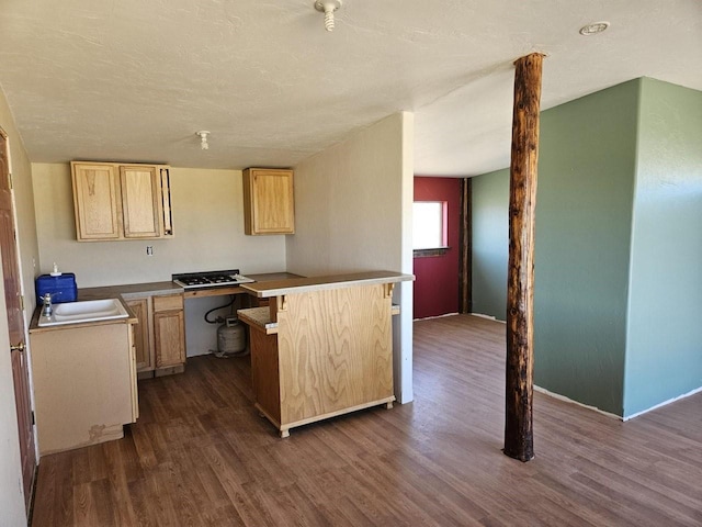 kitchen featuring light brown cabinets, dark wood-type flooring, a textured ceiling, and sink