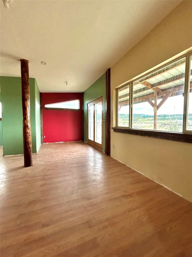 empty room featuring a healthy amount of sunlight and wood-type flooring