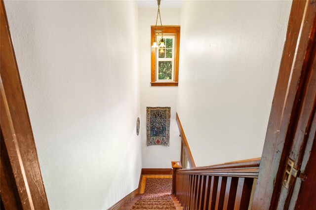 stairway with wood-type flooring and a chandelier