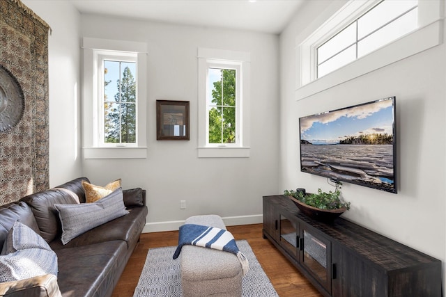 living room with dark hardwood / wood-style floors