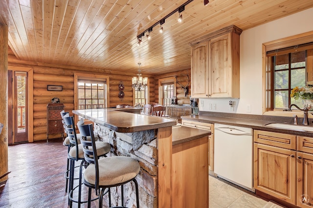 kitchen featuring decorative light fixtures, dishwasher, rail lighting, sink, and rustic walls