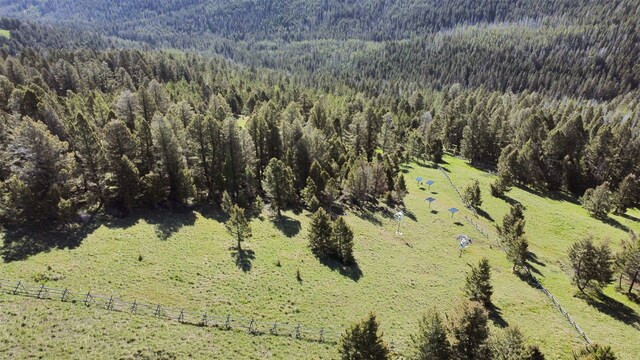 view of bird's eye view