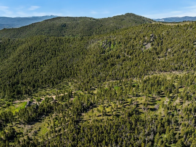 view of mountain feature with a wooded view