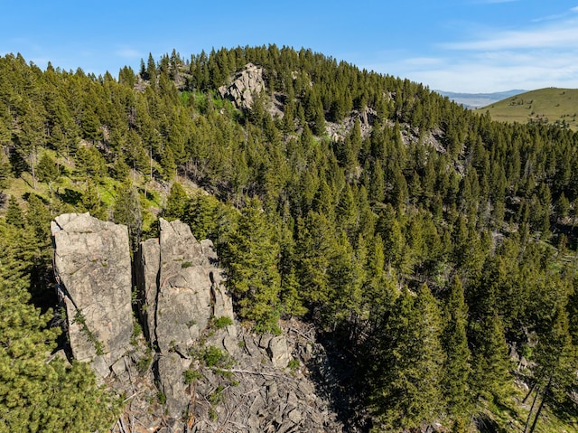 aerial view with a mountain view