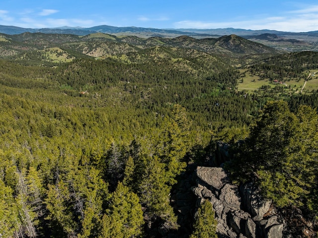 birds eye view of property with a mountain view and a view of trees