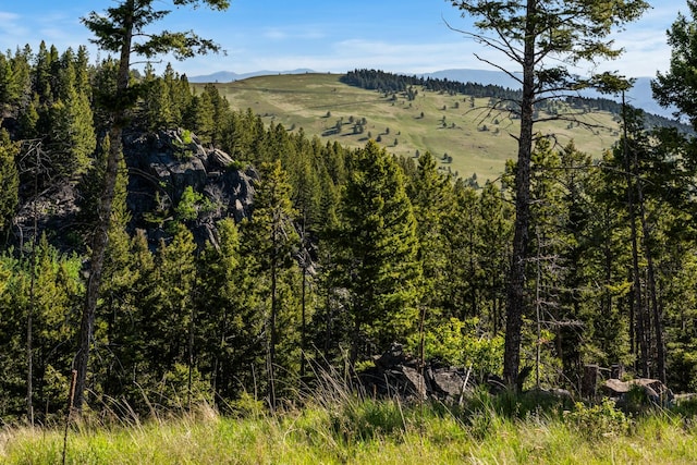 view of mountain feature