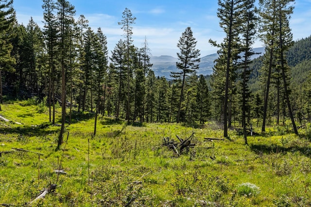 view of landscape with a mountain view and a view of trees