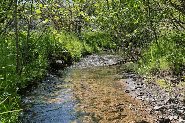 view of mother earth's splendor featuring a water view