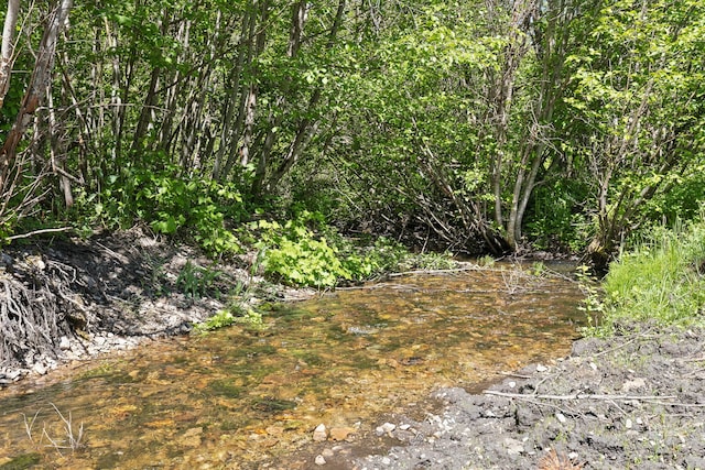 view of local wilderness featuring a water view