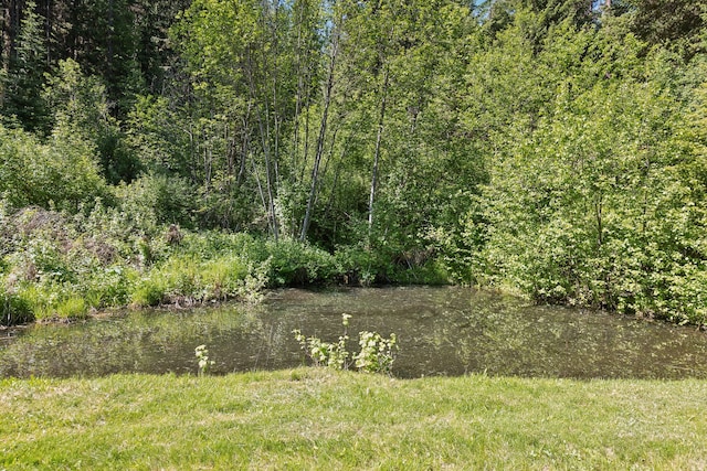 view of local wilderness featuring a water view