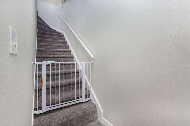 staircase with carpet flooring