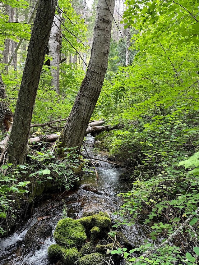 8 Cedar Gulch Ln, Thompson Falls, MT 59873 - view of wooded area
