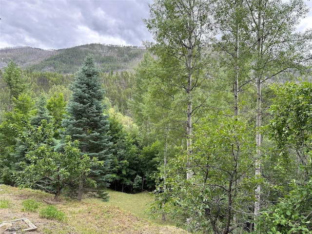 8 Cedar Gulch Ln, Thompson Falls, MT 59873 - view of mountain background with a forest