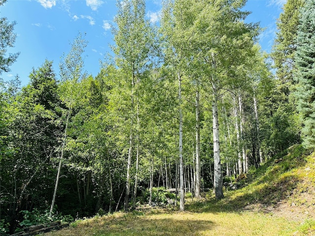 view of landscape